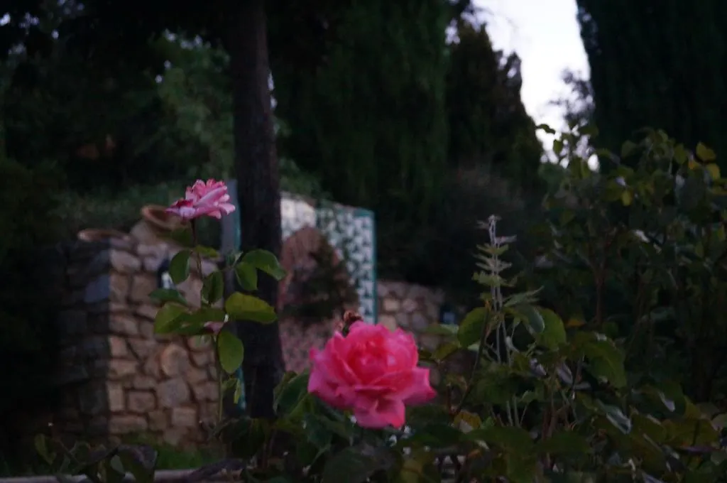 Casa Rural 3. Los Castanuelos Bed & Breakfast Guejar-Sierra