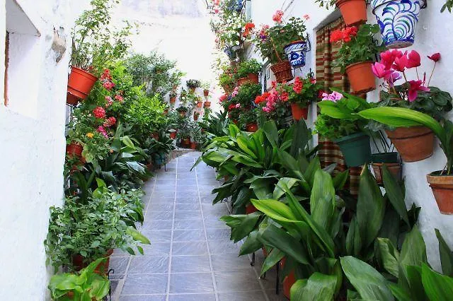 Casa Rural 3. Los Castanuelos Bed and Breakfast Guejar Sierra Spanien